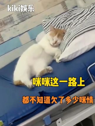 咪咪知道没人看你,所以自己偷偷来了 #猫咪 #猫猫 #暖心 #猫猫就是小宝宝啊 #温暖