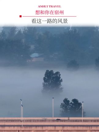想和你在宿州,看这一路的风景 (素材支持:@巅峰宿州 )#皖美秋日 #宿州 #水墨画 #符离 #李荣浩