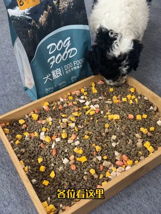 挑食怪现在追着我要续碗 #萌宠好物#冻干狗粮#狗粮推荐