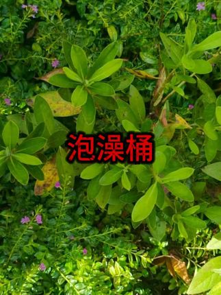 #折叠泡澡桶 #泡澡桶 #家用泡澡桶