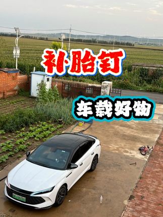 补胎钉 #比亚迪 #比亚迪秦L