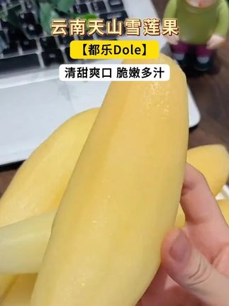 建议每天吃上一点雪莲果!脆甜多汁 超级清爽!营养贼丰富!全家老小和自律期姐妹吃都超棒!#新鲜应季水果 #雪莲果 #优质农产品