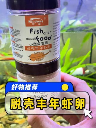 小鱼苗推荐这款免孵化的丰年虾卵,适口性好,高蛋白不浑水,从鱼苗到长大都可以喂 #丰年虾 #养鱼 #观赏鱼 #鱼粮 #水族