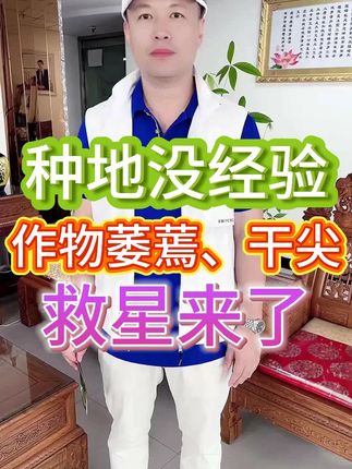 产量上不去,一年白忙活 #三农 #农业种植 #果蔬种植管理 #助农帮帮团