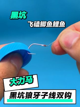 担心大鱼切线的#钓友可以试试这款大力马子线双钩#黑坑钓鱼#碳芯大力马#子线双钩#渔具用品