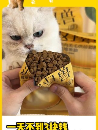 普通打工人都在喂什么猫粮呀😭 #淘豆玩国 #淘豆玩国猫粮 #科学养宠攻略 #热点 #抖in萌宠计划