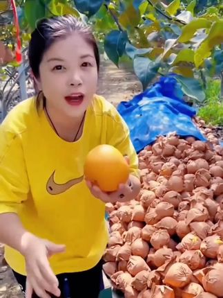 山东特产正宗秋月梨冰糖梨子#新鲜采摘 #应季水果 #口感特别好 #秋月梨 #冰糖梨