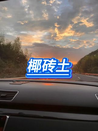 乐芽芽爬宠椰砖土  #椰砖土  #乌龟垫材  #爬虫保暖