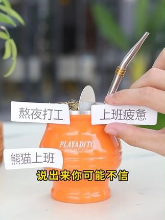 熬夜党、打工人的本命茶啊,我先冲了!轻松上班一整天,这是阿根廷的国宝,比咖啡还带劲,还不影响睡眠#马黛茶 #打工人 #帕拉蒂托马黛茶 #熬夜
