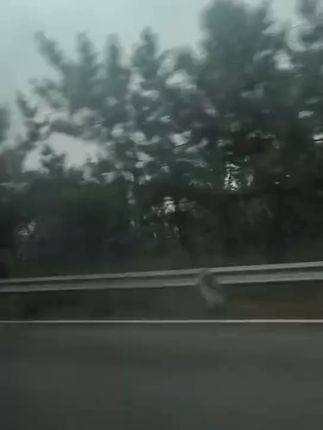 #演算草稿纸