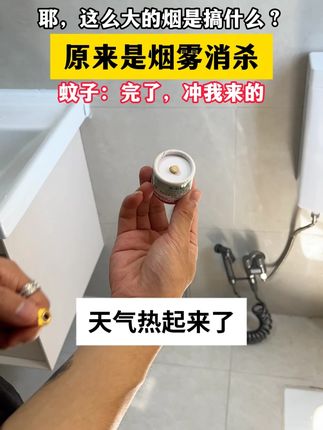 家里总有虫子怎么办?别着急,咱们把这款杀虫烟雾剂安排上,关闭门窗点燃熏蒸3小时后,打开门窗通风即可,轻轻松松解决家中虫害问题#灭蟑螂  #杀虫剂 #灭虫小妙招