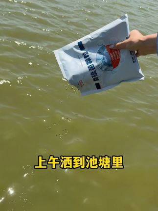 直接干撒一袋10亩#改底#水产养殖#调水#鱼虾蟹养殖#粪硫菌