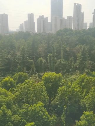 朋友们,有口气问题的一定要试一试#口臭 #夫妻日常