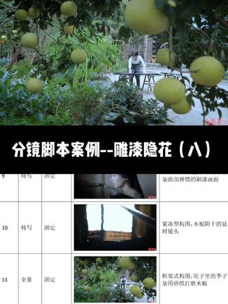 日常记录vlog分镜拆解8 取自李子柒雕漆引花片段 #日常记录 #分镜头脚本 #构图 #视频拍摄 #vlog拍摄