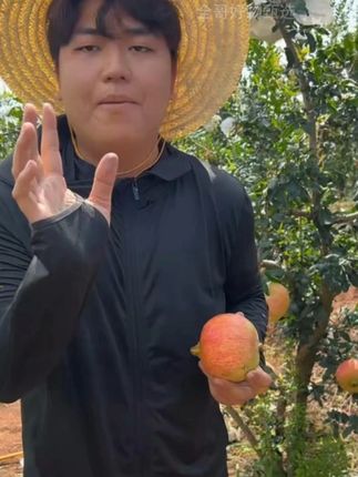 四川会理突尼斯软籽石榴你吃过吗 全进华极力推荐,它是软籽的,不需要吐籽,吃着方便。香甜多汁,香脆爽口,口感独特,一口爆汁。 #优质农产品 #突尼斯软籽石榴 #软籽石榴 #应季水果#全进华和他的助农朋友们