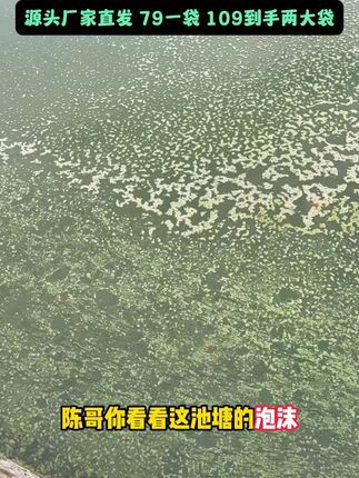 池塘泡沫又多又黏,说明底质已经恶化到根上了。#水产养殖 #螃蟹养殖 #四大家鱼养殖 #水产人