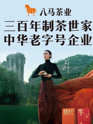 【果香馥郁】正宗新会核心头采小青柑柑普茶易武普洱熟茶八马送礼 #普洱茶 #小青柑普洱 #小青柑普洱茶 #普洱茶推荐 #小青柑柑普茶