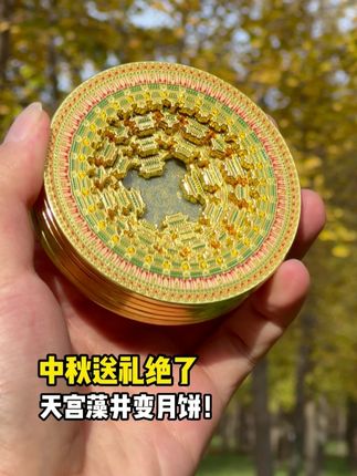 拒绝平庸!600 年【藻井月饼】超有料~ #天宫藻井 #藻井冰箱贴 #中秋礼物送什么 #玩一种很新的东西 #礼物推荐