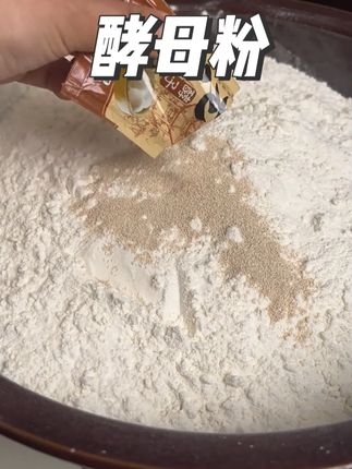 传统老面酵子老面味酵母发面引子老面味发面酵母高活性老味发面宝#酵母粉
