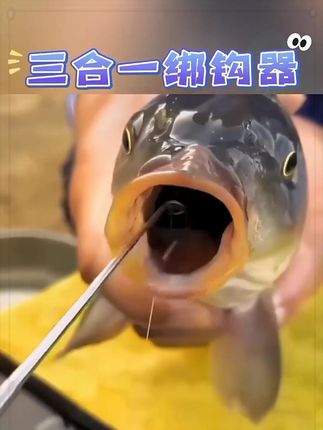 取钩器 钩鱼用品##钓鱼小配件 #脱钩器 #渔具用品 #取钩器 #鱼垂钓用品