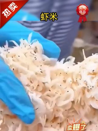 新货上市无盐优质虾皮精选淡干虾皮虾米大虾皮海米干净新鲜250 #虾皮 含钙高、是补钙的好帮手#虾米 #虾米推荐