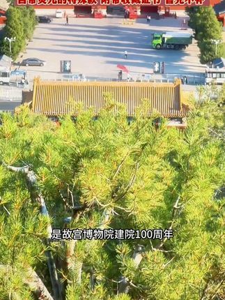 百鸟朝凤 #百鸟朝凤 #国画 #钞艺