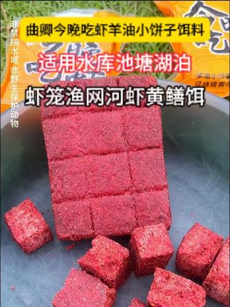 今晚吃虾饵料 喜欢户外下笼子的老铁,你是否也在寻找一款比猪肝鸭肠更好用的饵料?#逮鱼摸虾 #户外抓鱼摸虾  #曲卿今晚吃虾