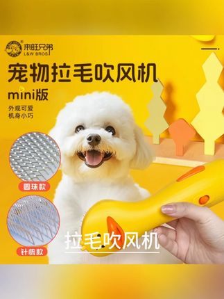 让狗狗不反抗 铲屎官也轻松 平时在家吹毛太轻松啦 小巧轻便不累手 #宠物吹风拉毛一体机 #宠物吹风机 #宠物拉毛