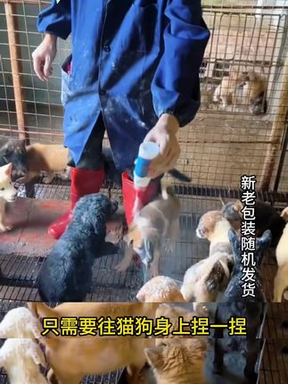 给狗喷一喷,就不用担心狗子身上有虫子了 #养狗人 #养狗经验 #养狗必备