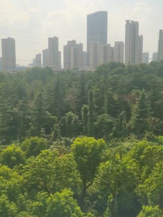 这把超大号雨伞简直是我的梦中情伞!有了它妈妈再也不用担心我淋雨了#大雨伞超大号 #雨伞