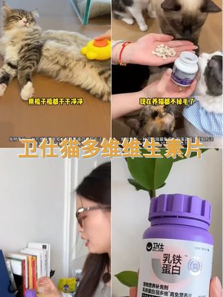 卫仕后生元化毛球片,猫咪多维营养补充,呵护猫咪健康成长! #萌宠好物 #卫仕宠物 #猫咪养护 #宠物健康 #卫仕乳铁蛋白猫多维