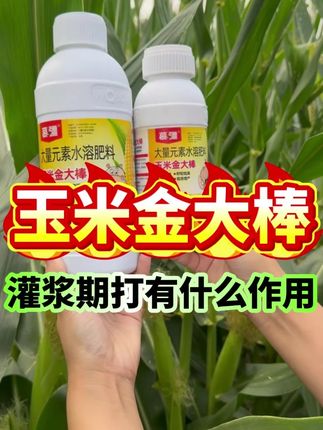 玉米金大棒 灌浆期打有什么作用 #玉米种植 #玉米管理 #玉米种植技术 #玉米金大棒 #祥禾农资