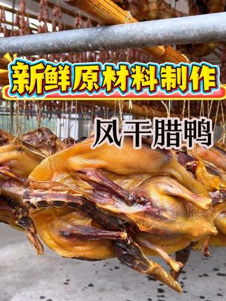 农村河边散养麻鸭制作的自然风干腊鸭,咸香可口。#乡村味道 #真材实料好味道 #传统工艺 #东陂腊味 #腊鸭