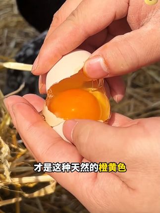 27秒教你如何煮出温泉蛋,溏心蛋,软心蛋,还有怎么选择健康安全的鸡蛋! #好念头 #可生食鸡蛋 #溏心蛋 #温泉蛋 #鸡蛋