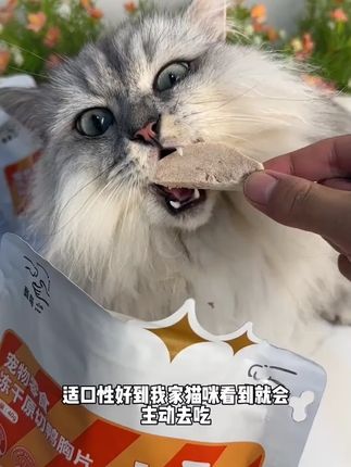 8块多一包的冻干原切鸭胸片 趁现在活动价这么划算!赶紧薅一份试试! #萌宠好物 #养猫新手 #养猫必备