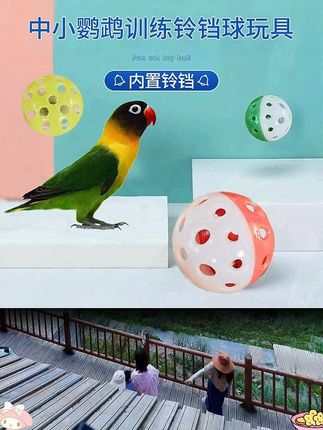 小太阳牡丹玄凤鹦鹉啃咬玩具虎皮小鸟笼子玩具解闷自嗨发声玩具球 #鹦鹉用品 #鹦鹉玩具 #鸟主子日常 #鹦鹉 #虎皮鹦鹉
