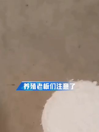 养殖老板注意啦#养殖 #畜牧