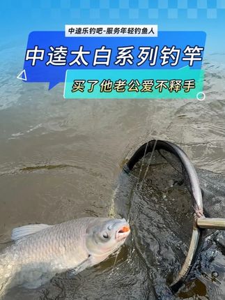 是什么让你爱上钓鱼?中逵太白给你不一样的钓鱼体验!#中逵太白