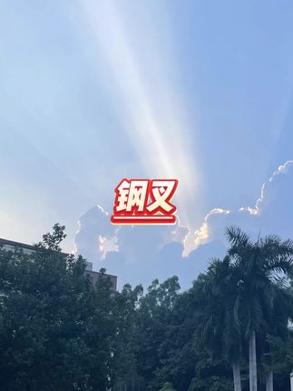 锰钢农用松土钢叉 #农业工具 #翻地神器 #园艺必备