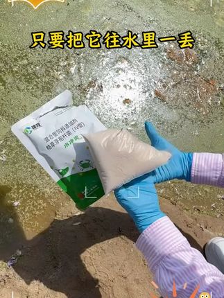 #农村创业养殖水产养殖 #水产技术 #鱼虾蟹养殖 #水产养殖