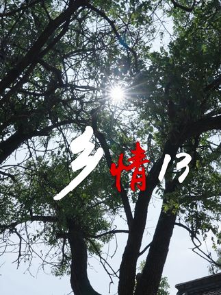 《乡情》第一季/第13集 榆社本土原创短剧#80年代的农村 #榆社原创短剧 #80年代乡村短剧 #农村原创短剧