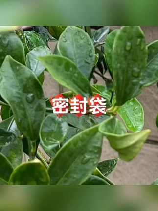 待产包收纳袋密封袋母婴收纳婴儿衣物收纳幼儿园开学衣物收纳#密封袋 #收纳袋 #收纳神器 #密封 #收纳袋大容量