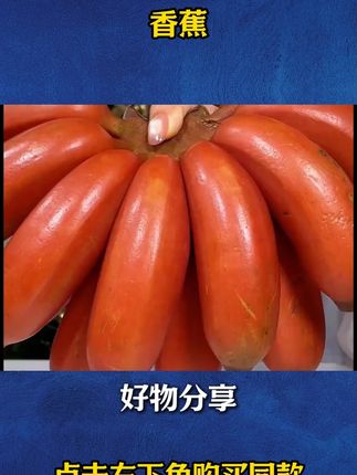 L红美人香蕉_新鲜水果。#超好吃 #红美人香蕉 #香蕉 #新鲜水果 #超实惠