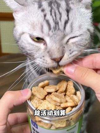 若想养猫没烦恼,快把这个调节猫咪肠胃菌群平衡呵护猫咪肠胃健康的养胃饼干给家里毛孩子安排上吧!#猫零食 #猫咪零食 #猫咪零食推荐 #猫零食推荐 #猫饼干