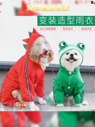 #萌宠好物 出门就不想回家的小狗,到处看到处遛 #萌宠出道计划 #比熊宝宝 #狗狗雨衣 #下雨遛狗