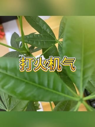 打火机气瓶 #户外用品 #防风打火机 #充气罐 #气体罐 #补充液