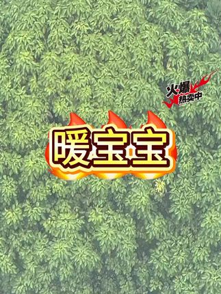 艾草暖身贴保暖贴暖宝宝贴暖宫贴驱寒保暖草本学生发热热帖暖贴 #发热贴 #暖身贴 #保暖贴 #暖宫贴 #驱寒贴