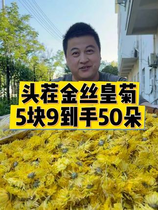 【徽五弟】都是这样大朵的金丝皇菊,不熏不加原色好品质。 #金丝皇菊 #菊花 #菊花茶 #花茶 #菊花枸杞茶