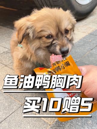 #猫咪 #养猫经验分享 #新手养猫 #科学养宠攻略 #无限回购的宝藏单品