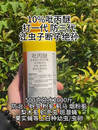 杀虫兼杀卵,害虫一锅端整季无害虫清远必备#吡丙醚 #种植基地 #杀虫剂 #抖音助农 #果园管理